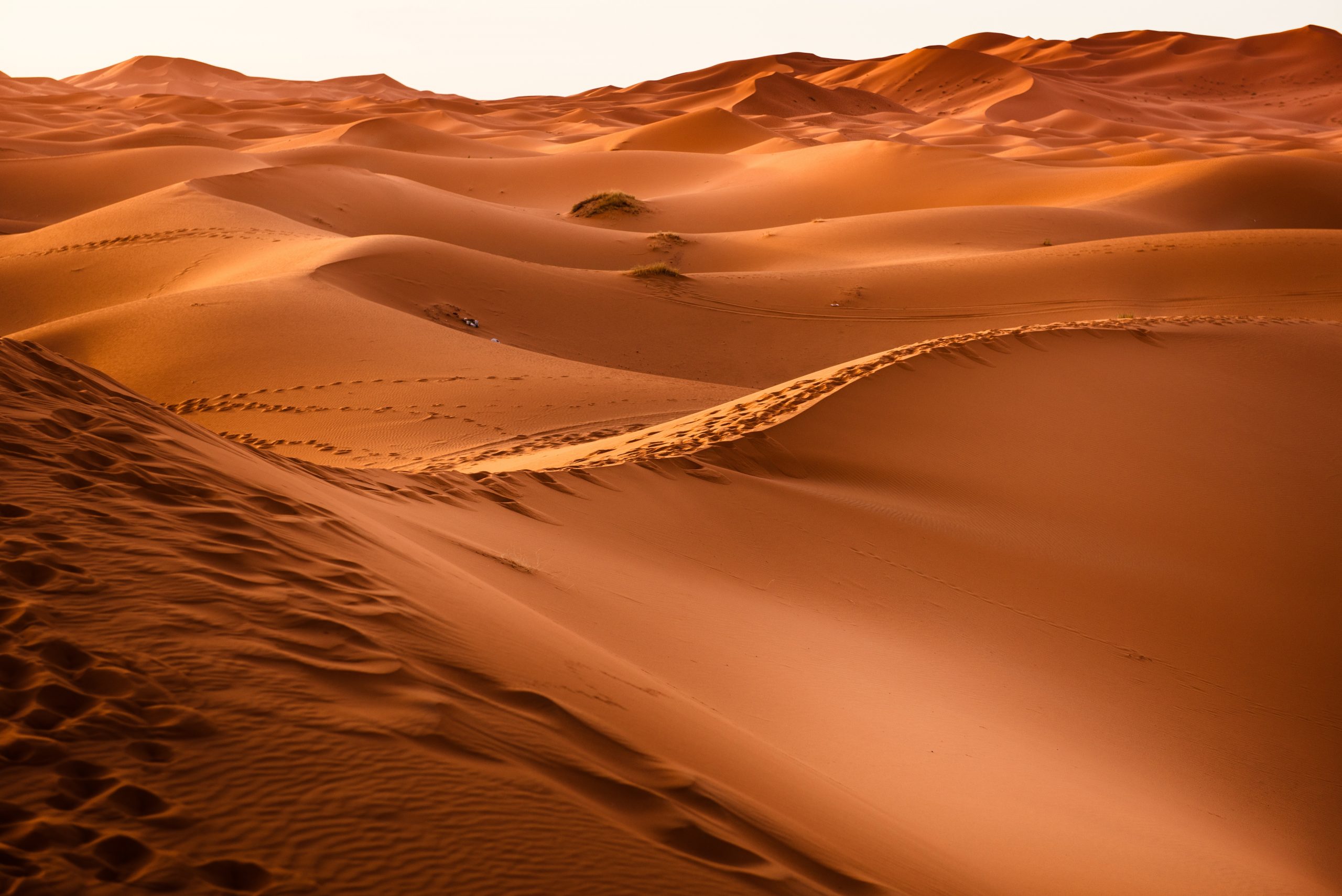dawn-desert-dry-dune-273935